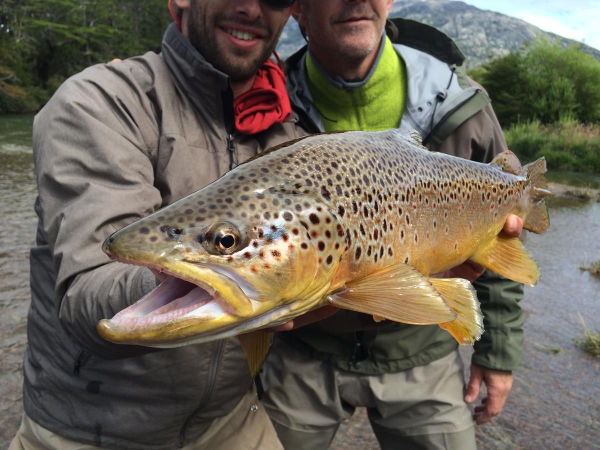 קויאיקה Vista Patagonia Lodge מראה חיצוני תמונה