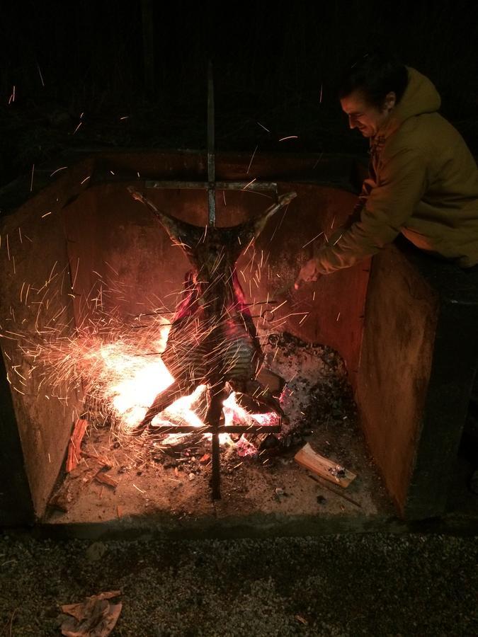 קויאיקה Vista Patagonia Lodge מראה חיצוני תמונה